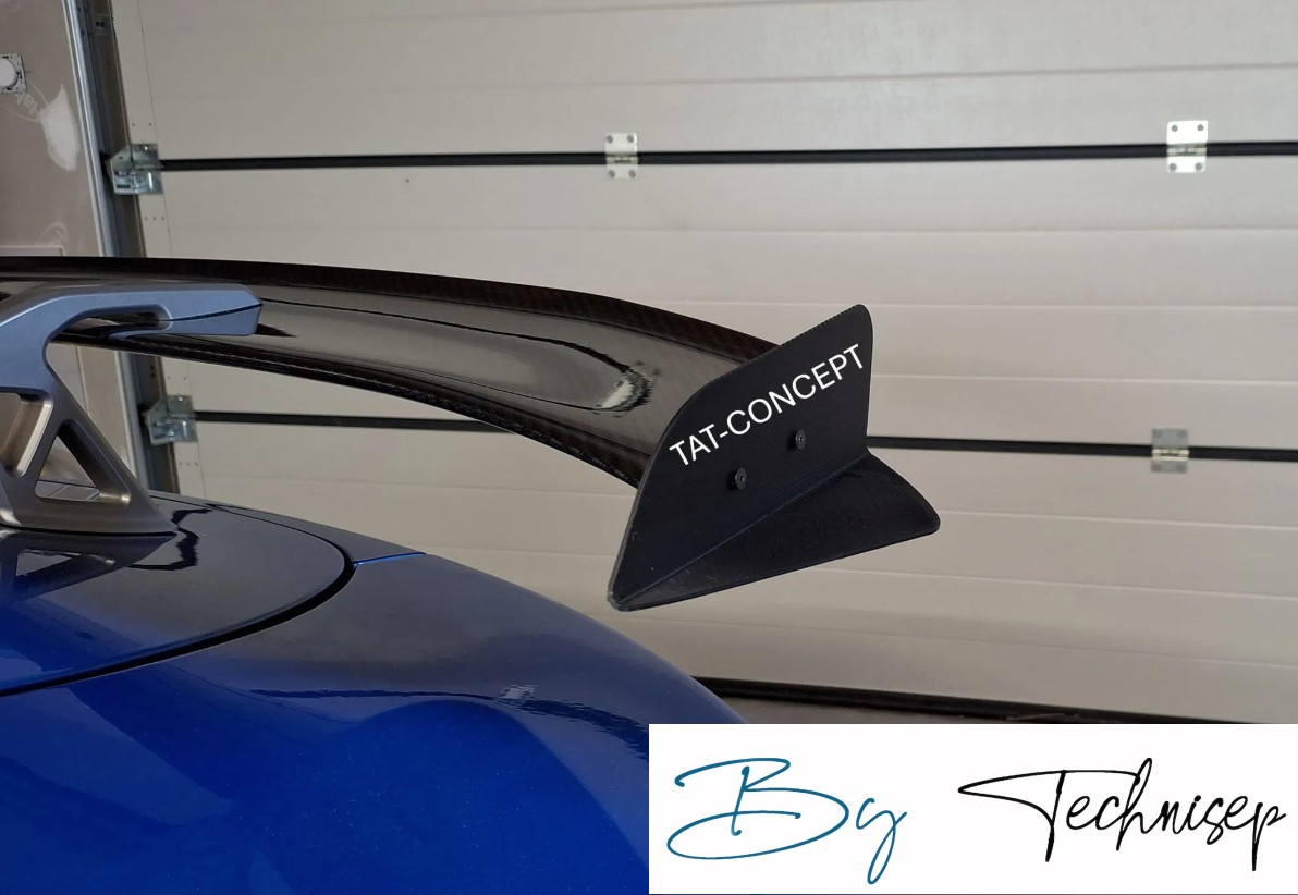 Flaps carbone pour modèle origine TAT